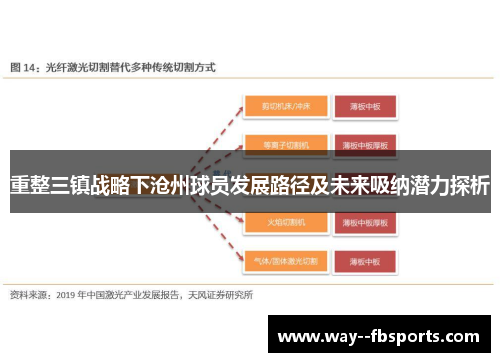 重整三镇战略下沧州球员发展路径及未来吸纳潜力探析